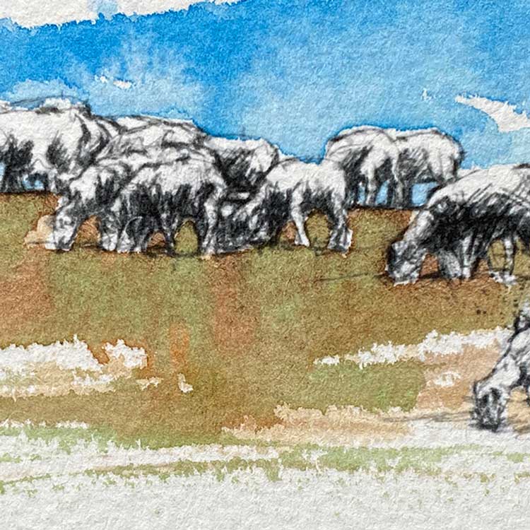 Sheep flock original mini sketch