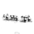 Sheep flock