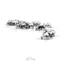Sheep flock