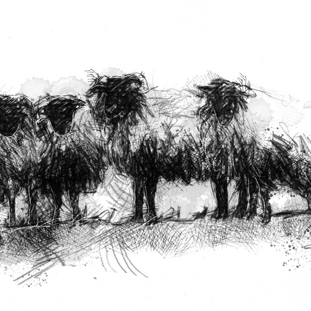 Christmas flock