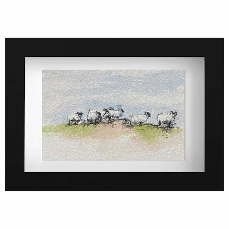 Sheep flock mini sketch