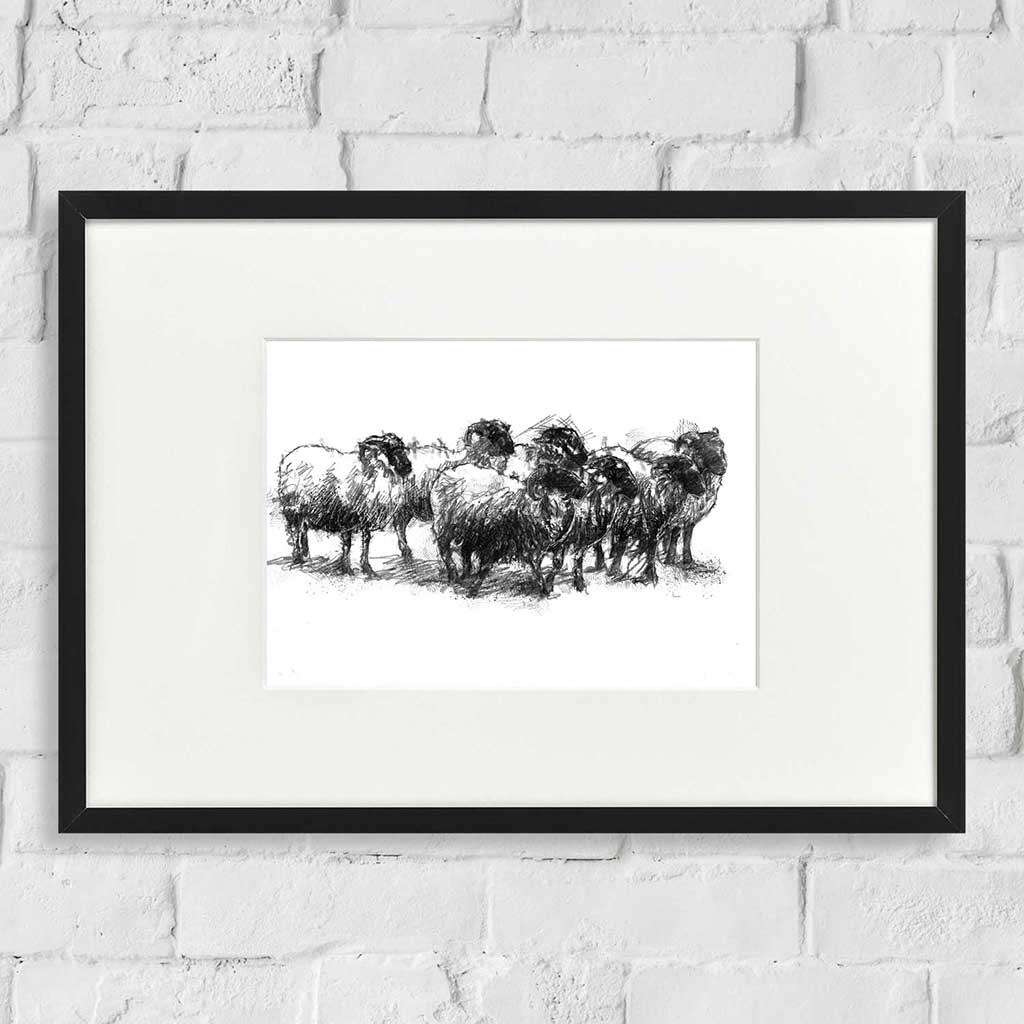 Sheep flock