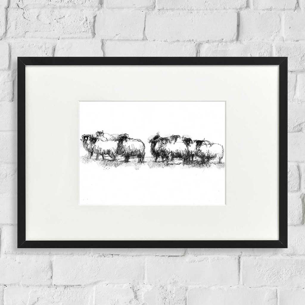Sheep flock