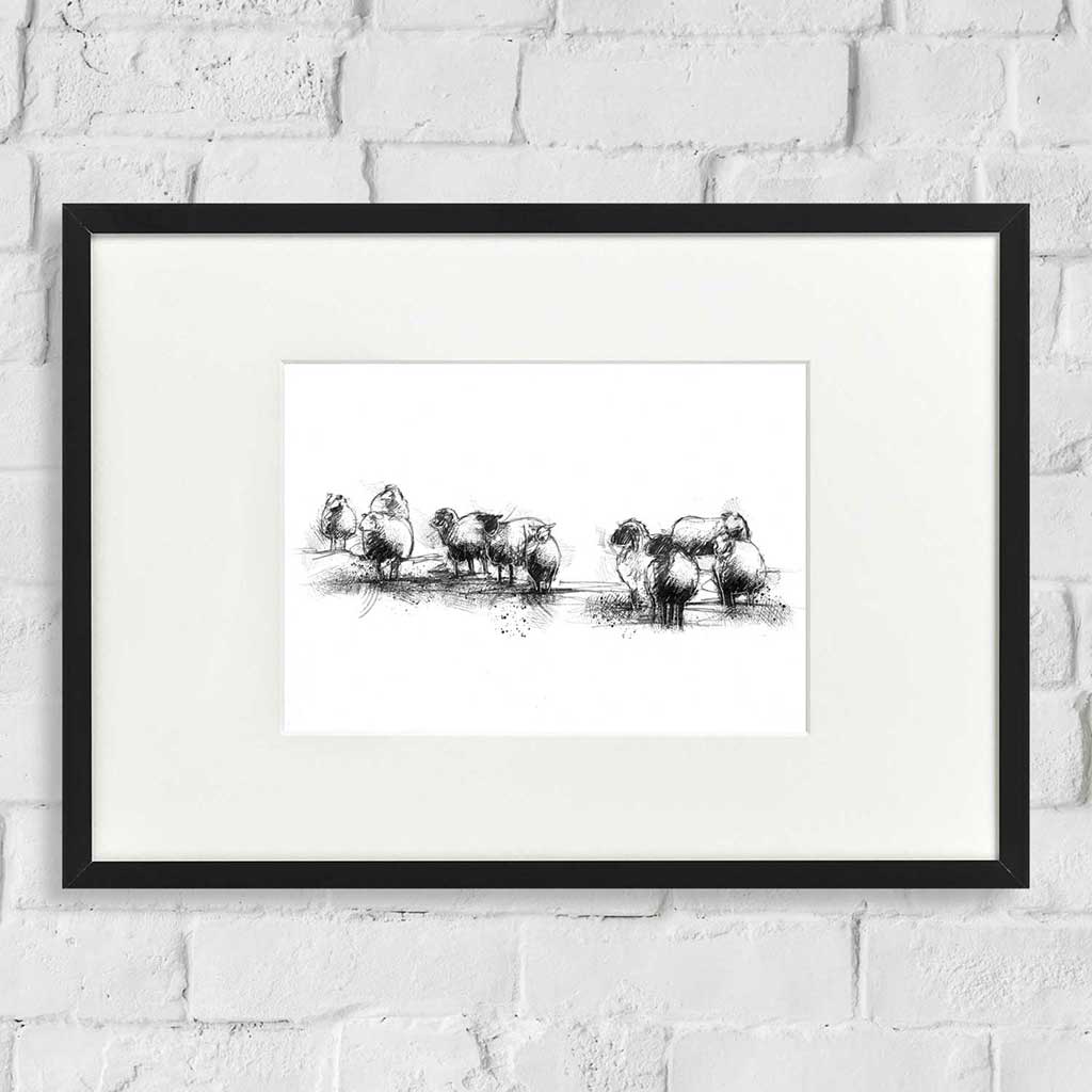 Sheep flock