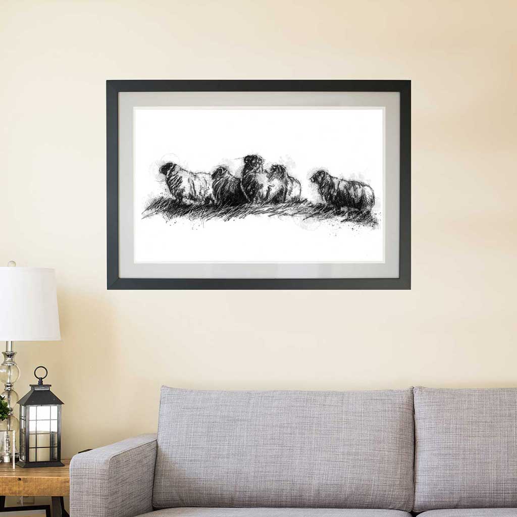 Sheep flock