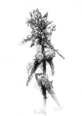 Wild flower
