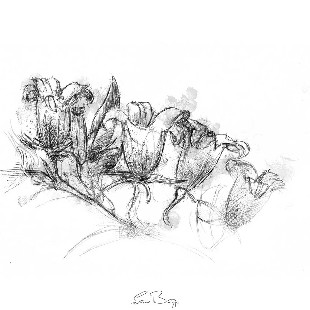 Wild flower