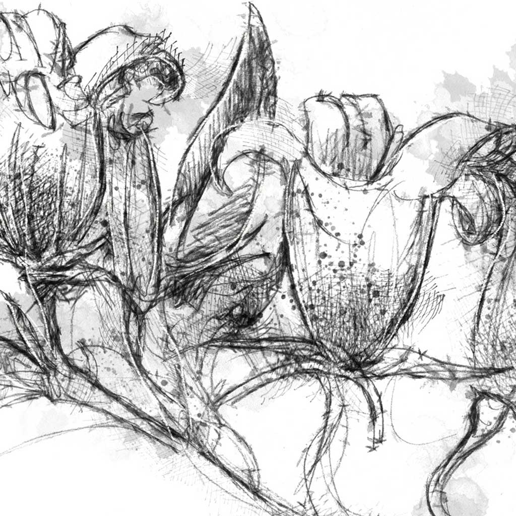 Wild flower