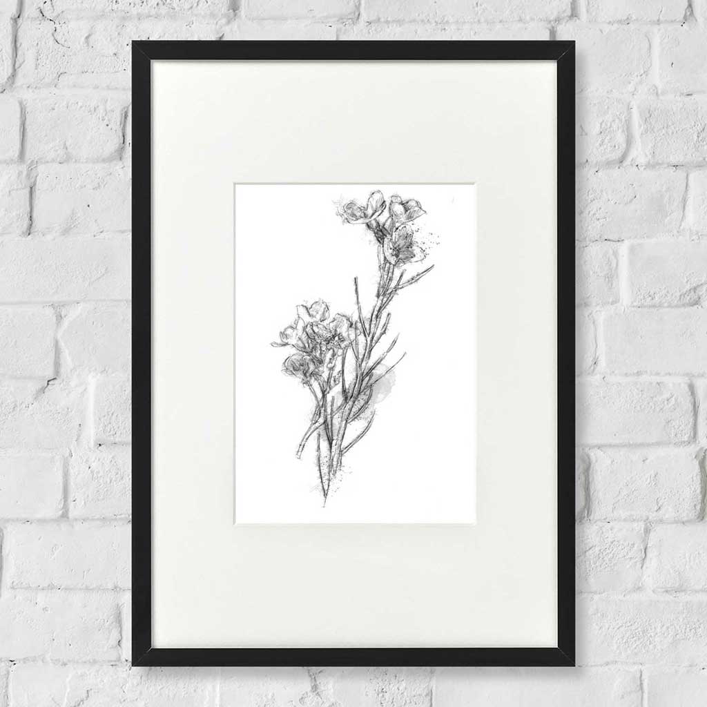 Wild flower