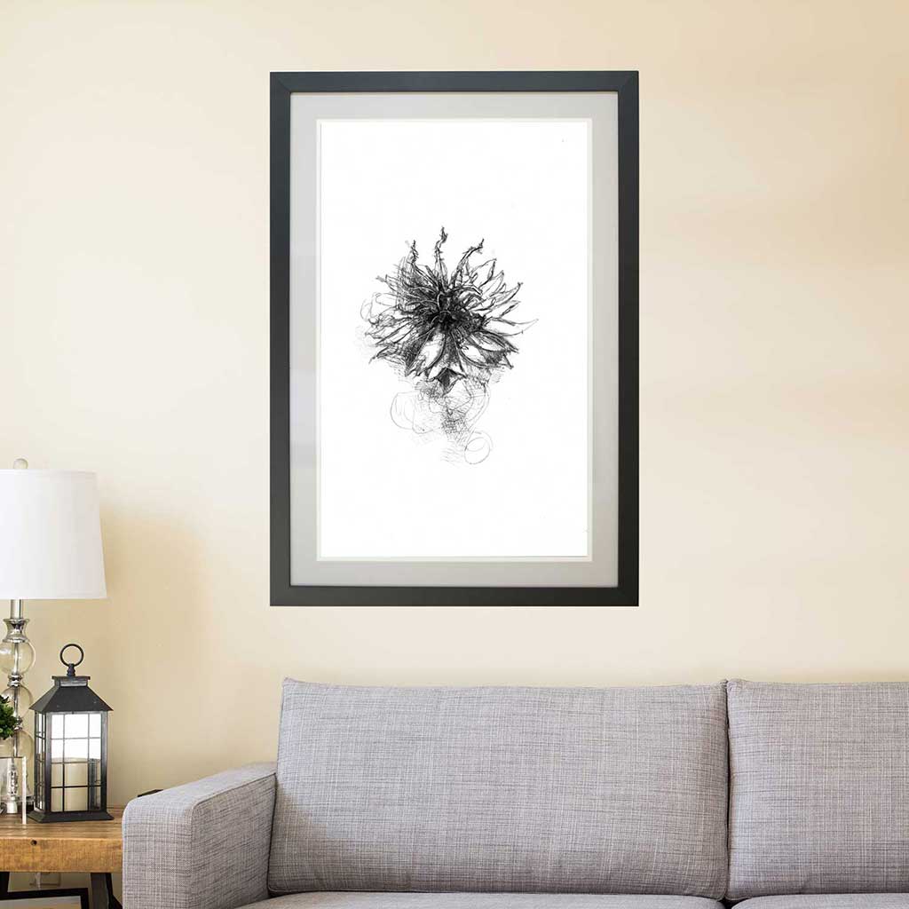 Cornflower