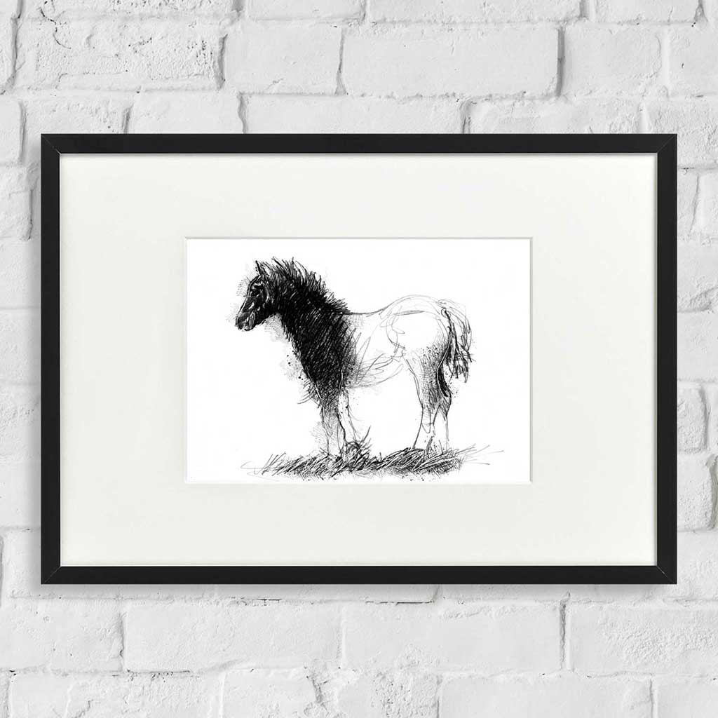 Shaggy foal