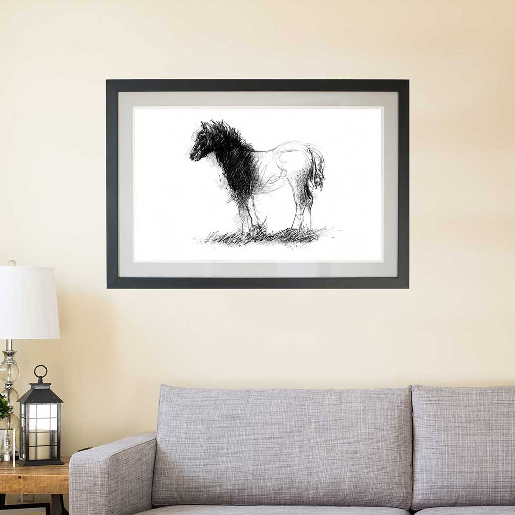 Shaggy foal