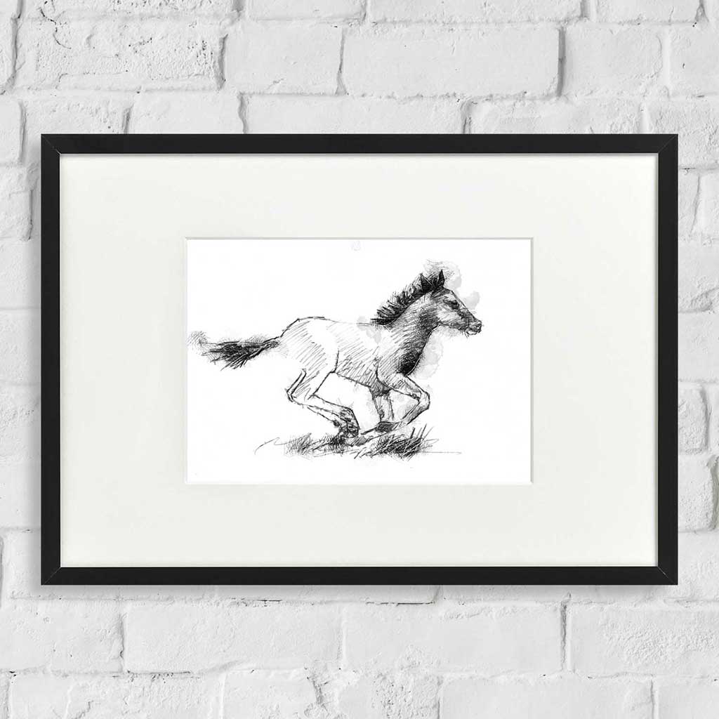 Foal run