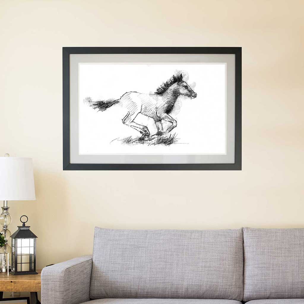 Foal run