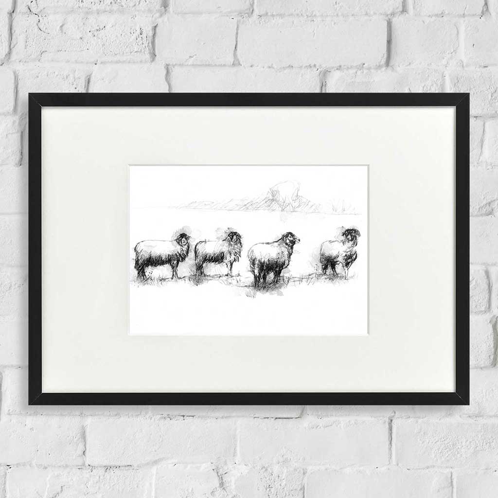 Four sheep