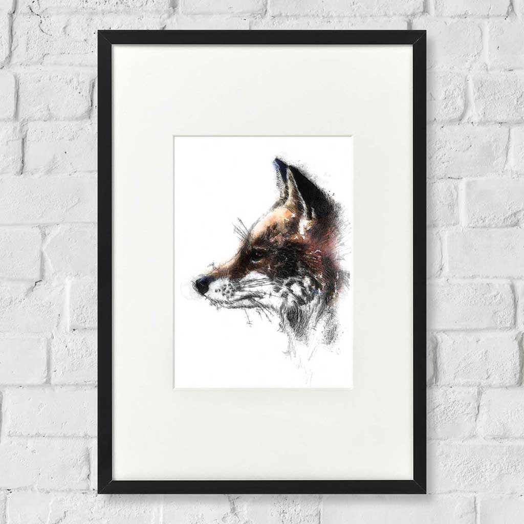 Red fox