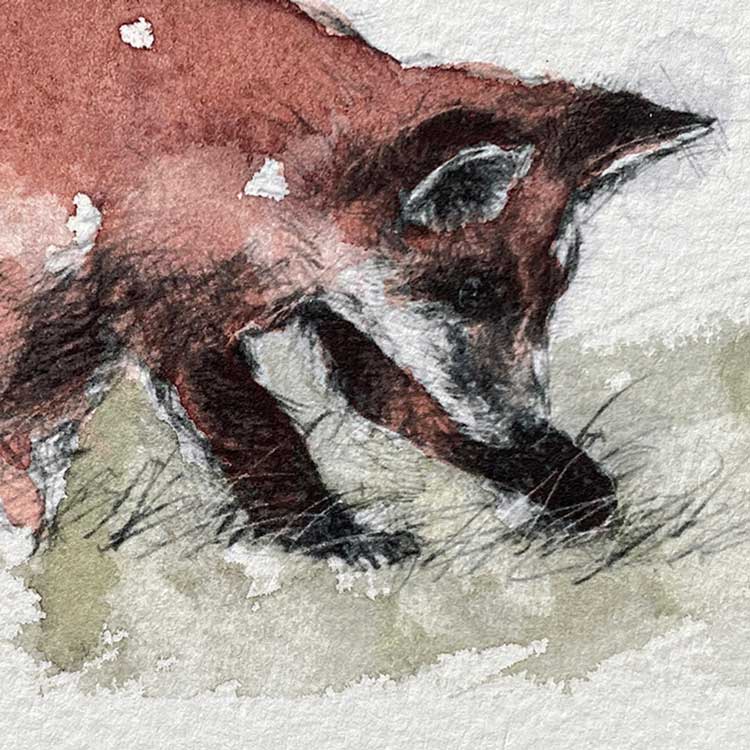 Fox cub original mini sketch