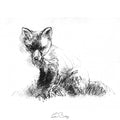 Fox cub