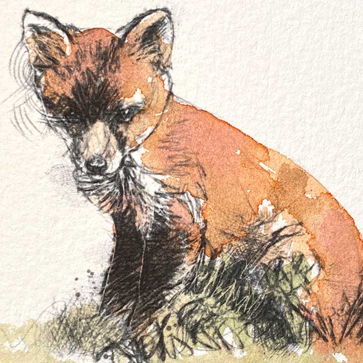 Fox cub original mini sketch