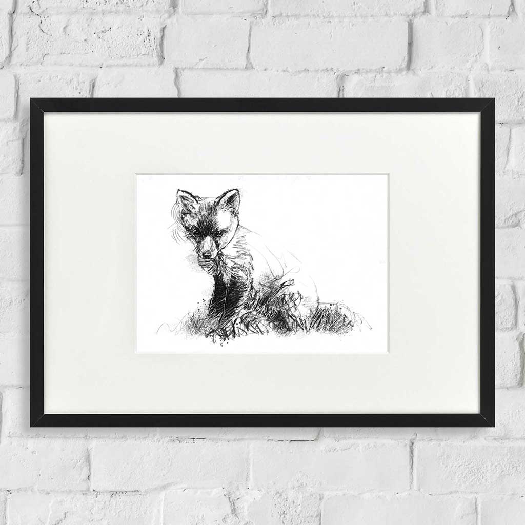 Fox cub