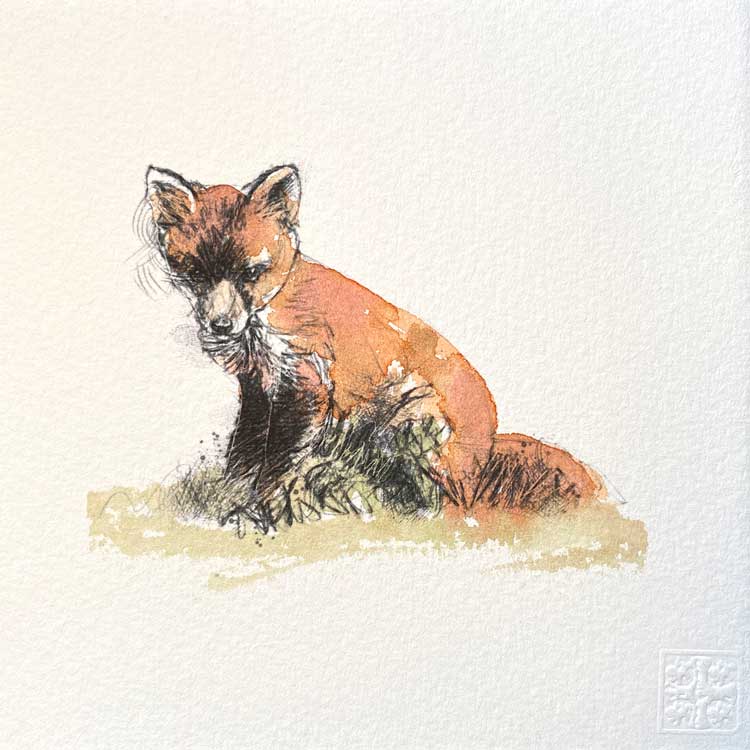 Fox cub original mini sketch