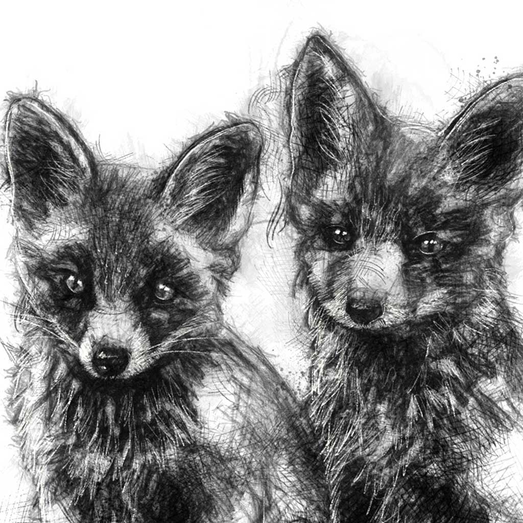 Two fox cubs