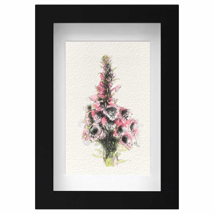 Foxglove mini sketch