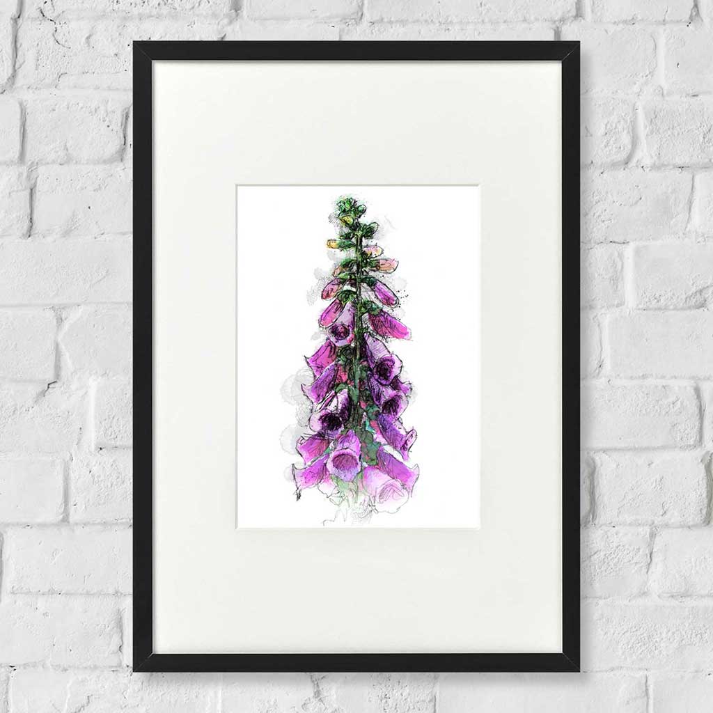 Foxglove colour