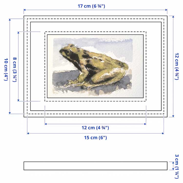 Common frog one off mini sketch