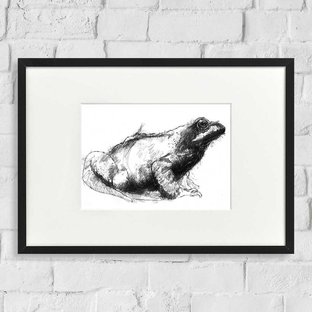 Frog