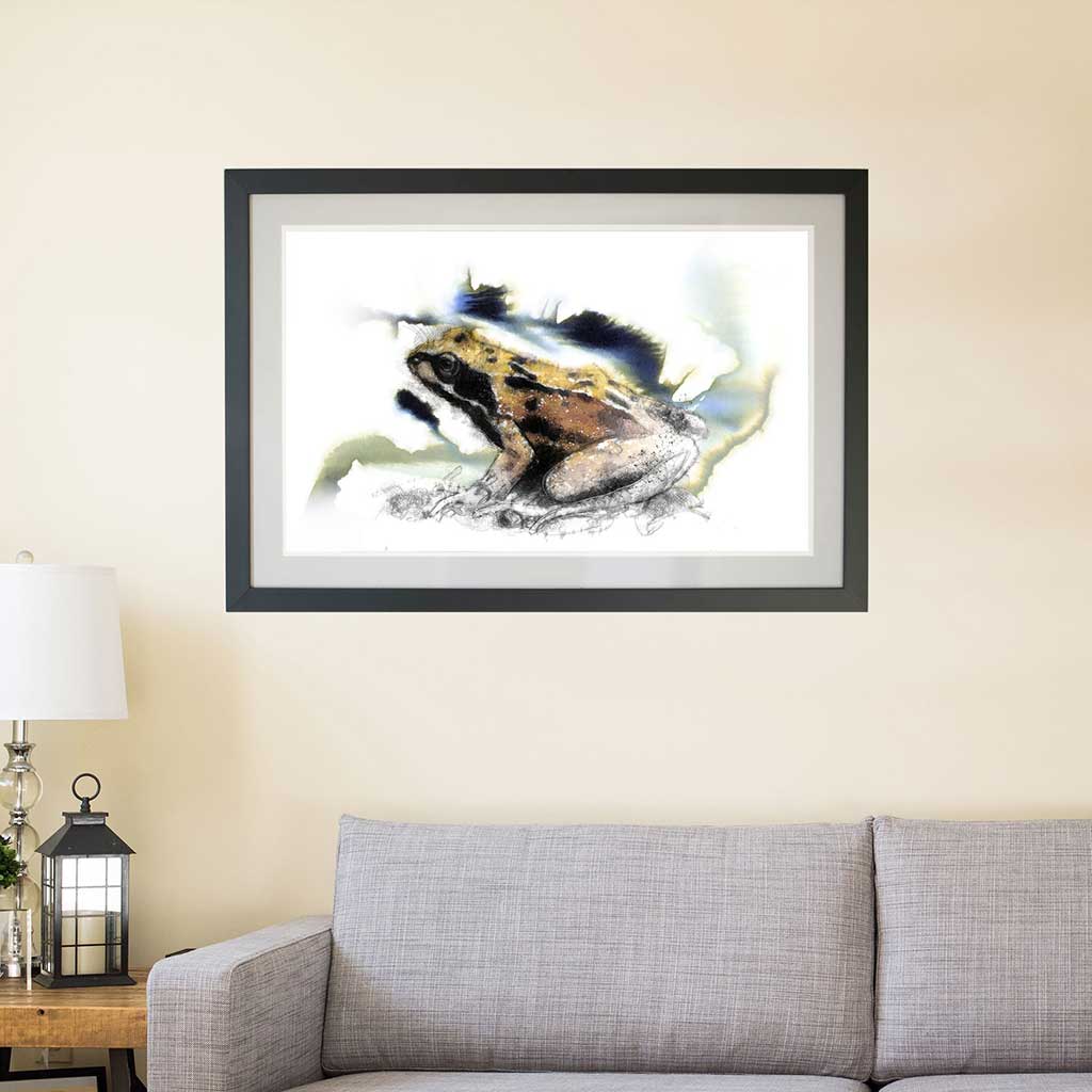 Common frog colour