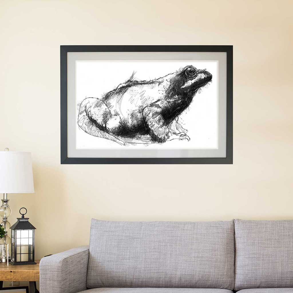 Frog