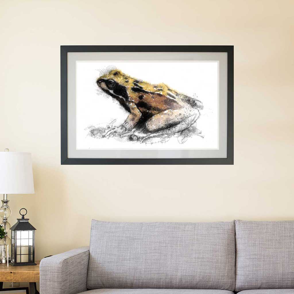 Common frog colour