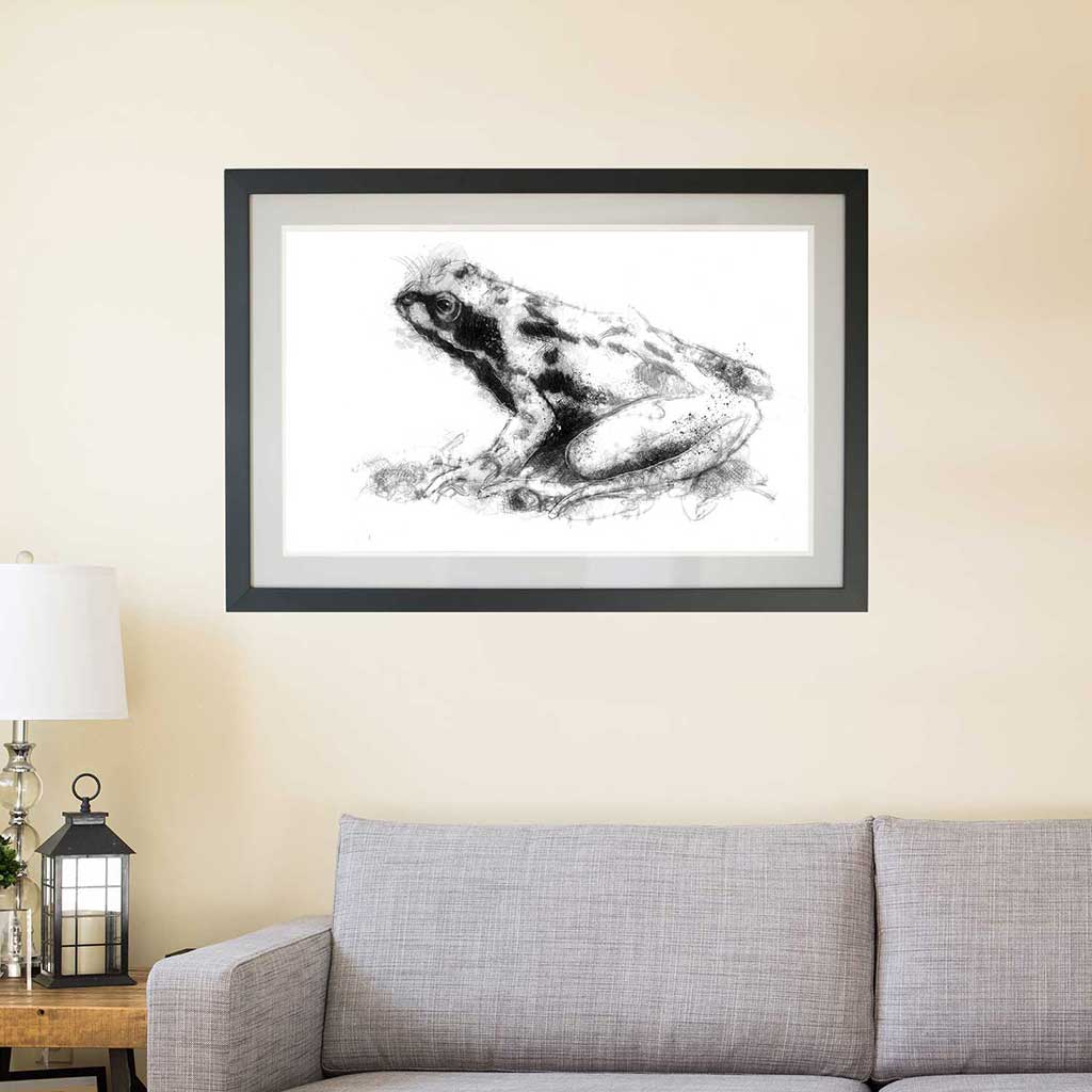 Common frog
