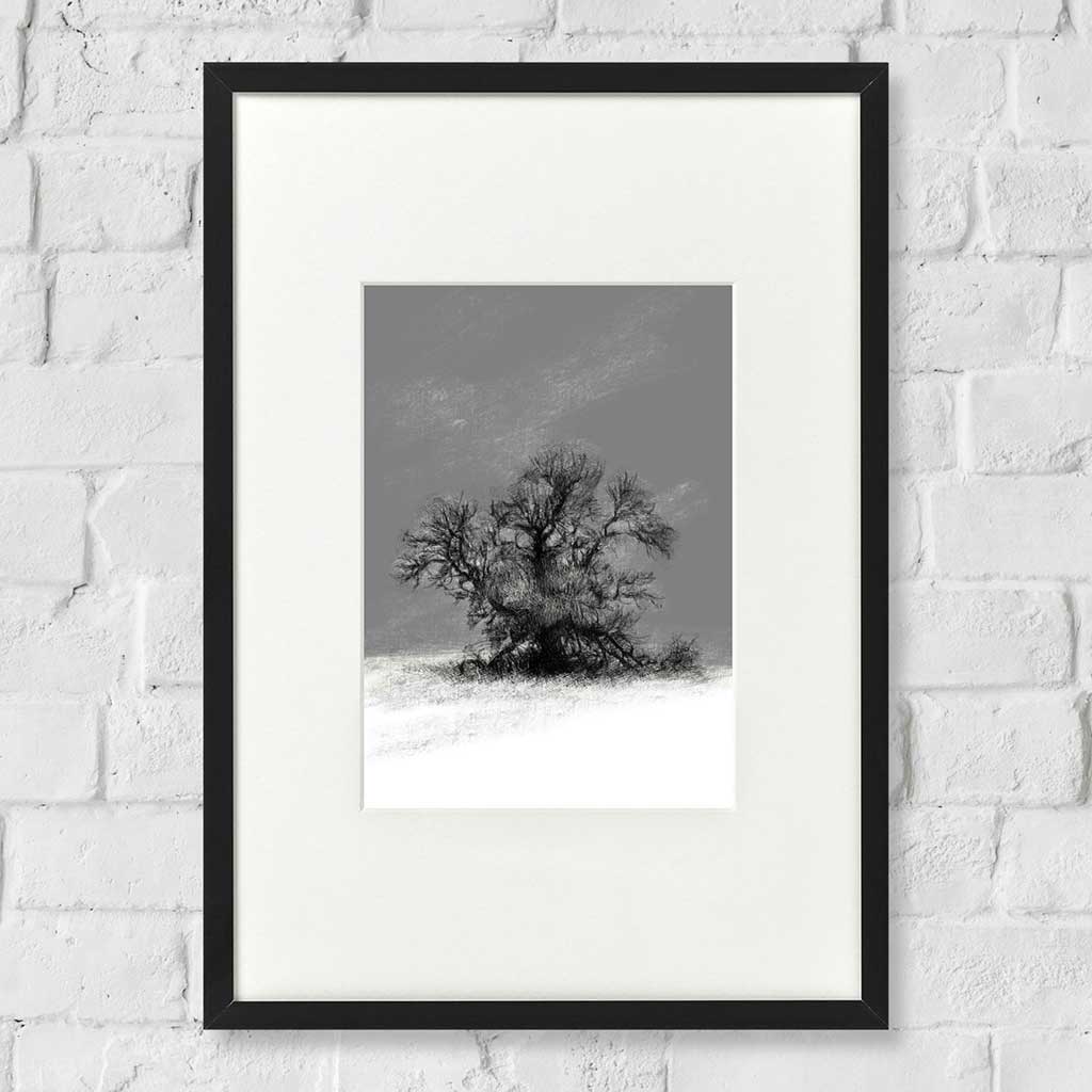 Frosty tree