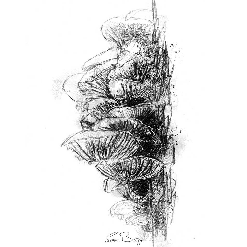 Fungi stack