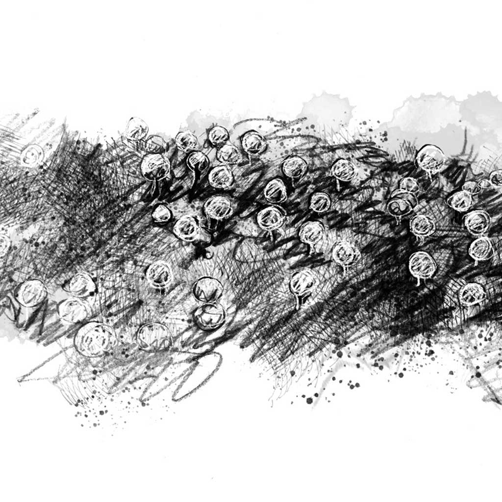 Small fungi