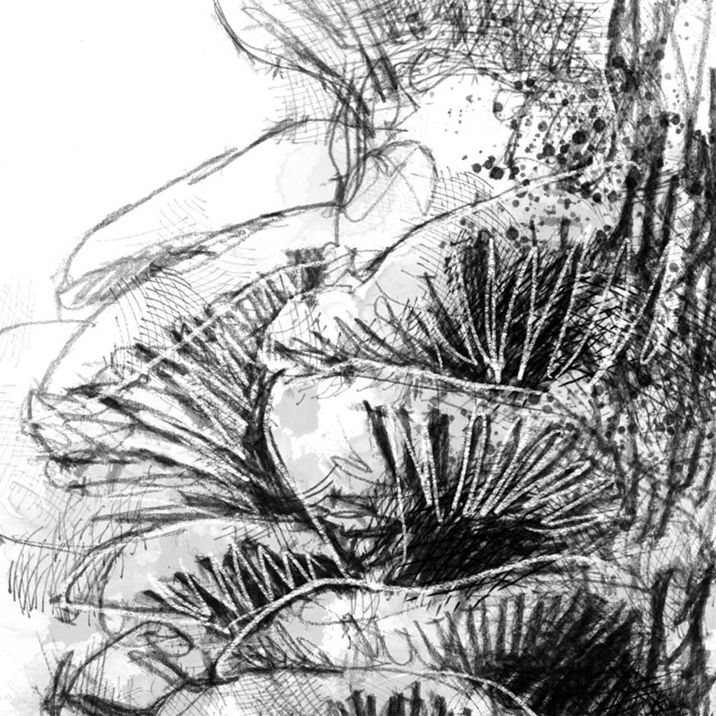 Fungi stack
