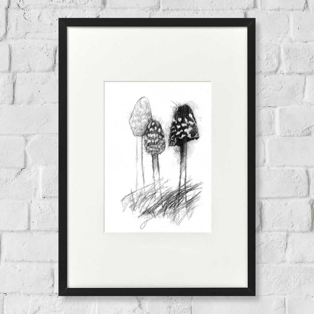 Magpie fungi