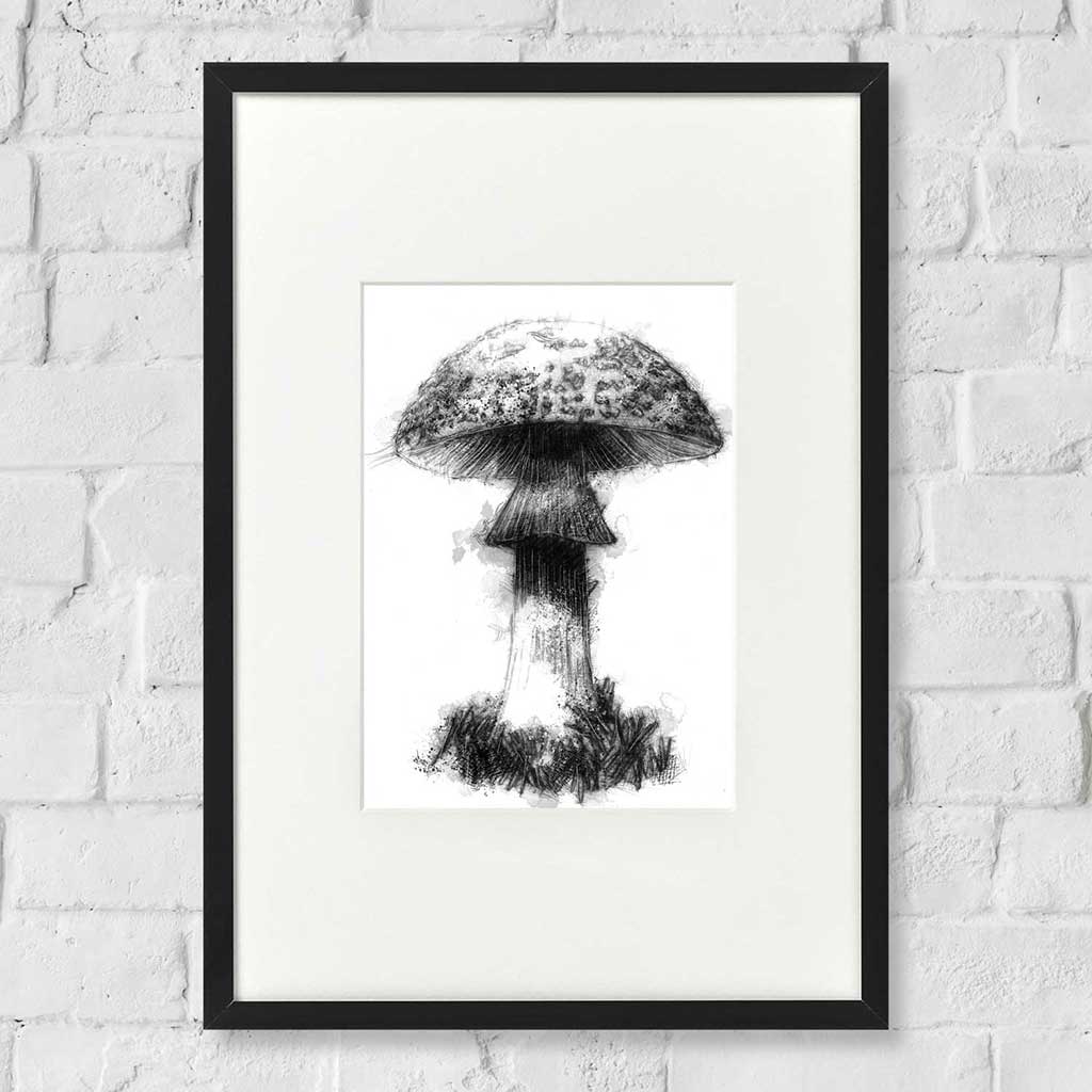 Fungi