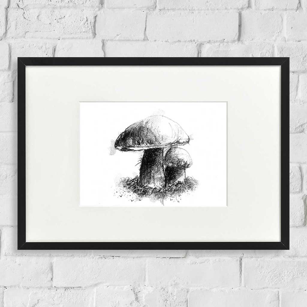Large fungi
