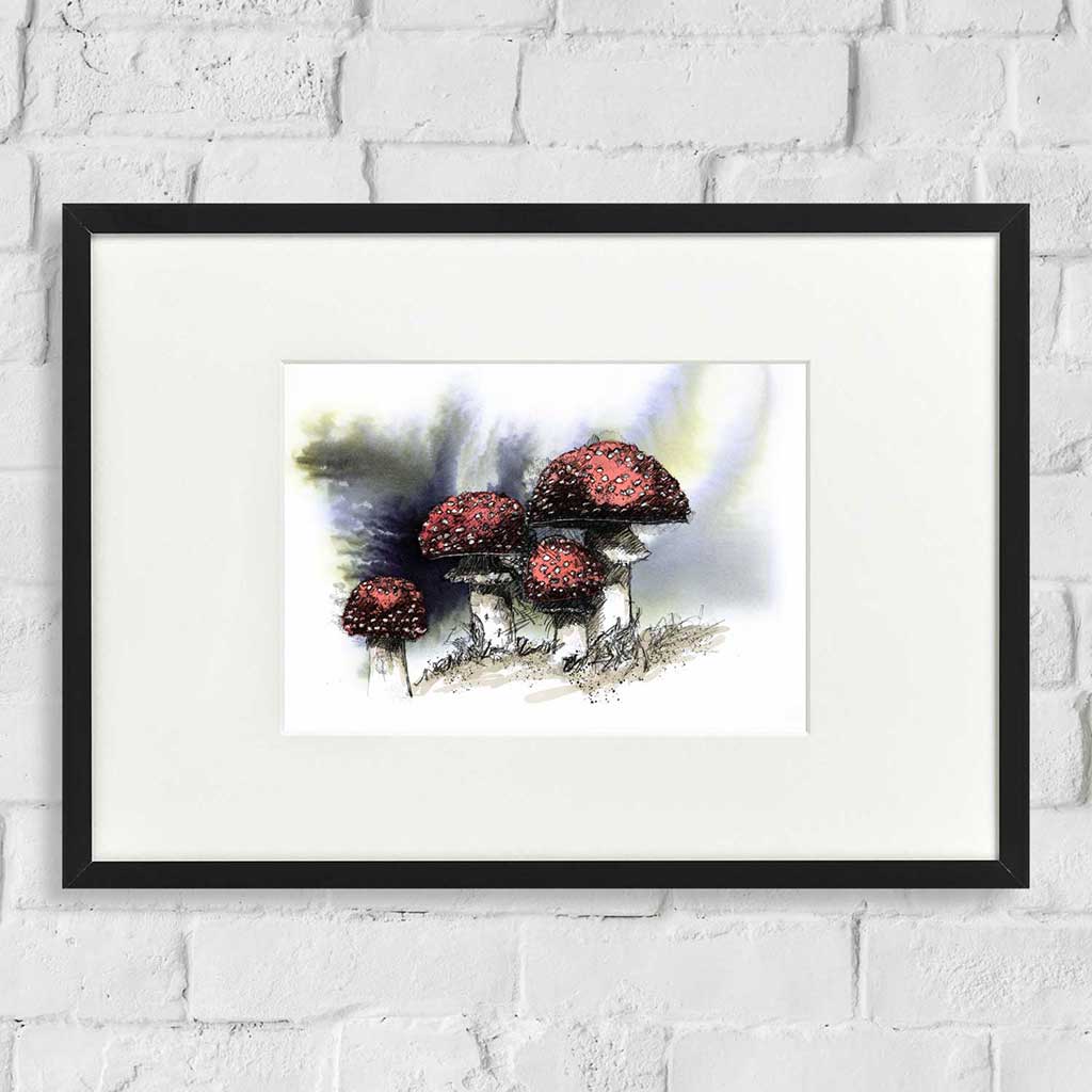 Toadstools