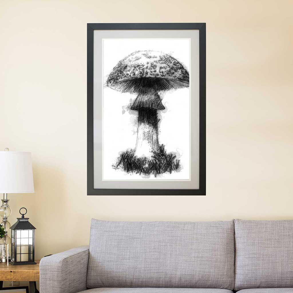 Fungi