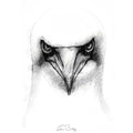 Gannet