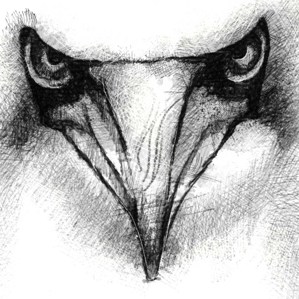 Gannet