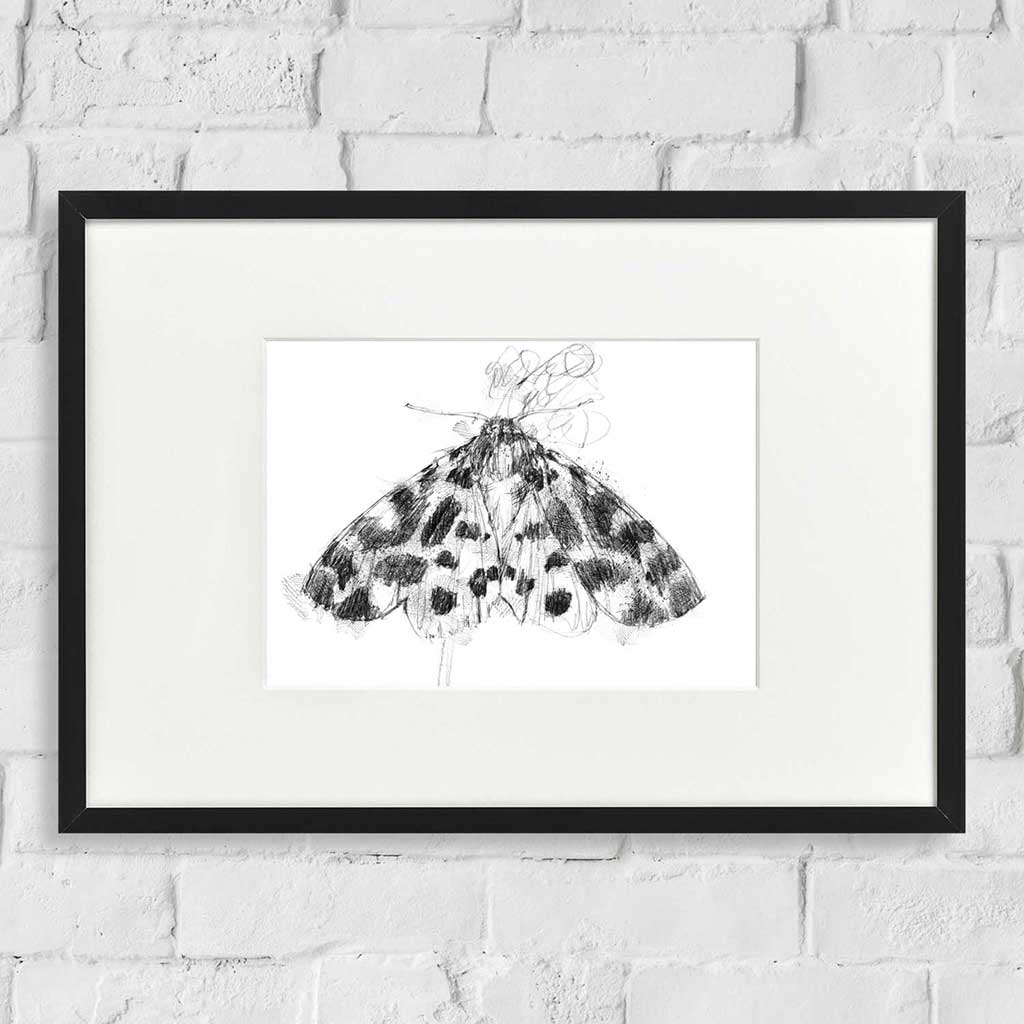 Garden tiger moth