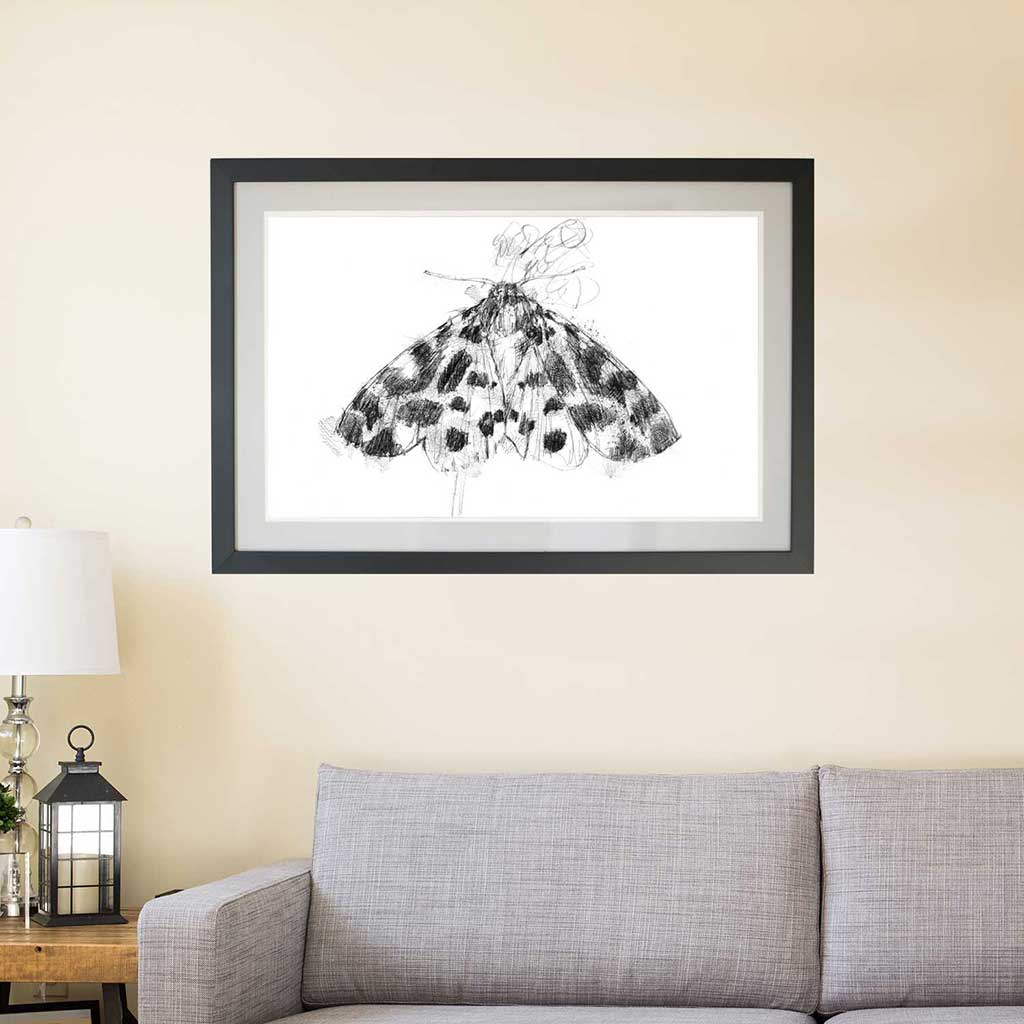 Garden tiger moth