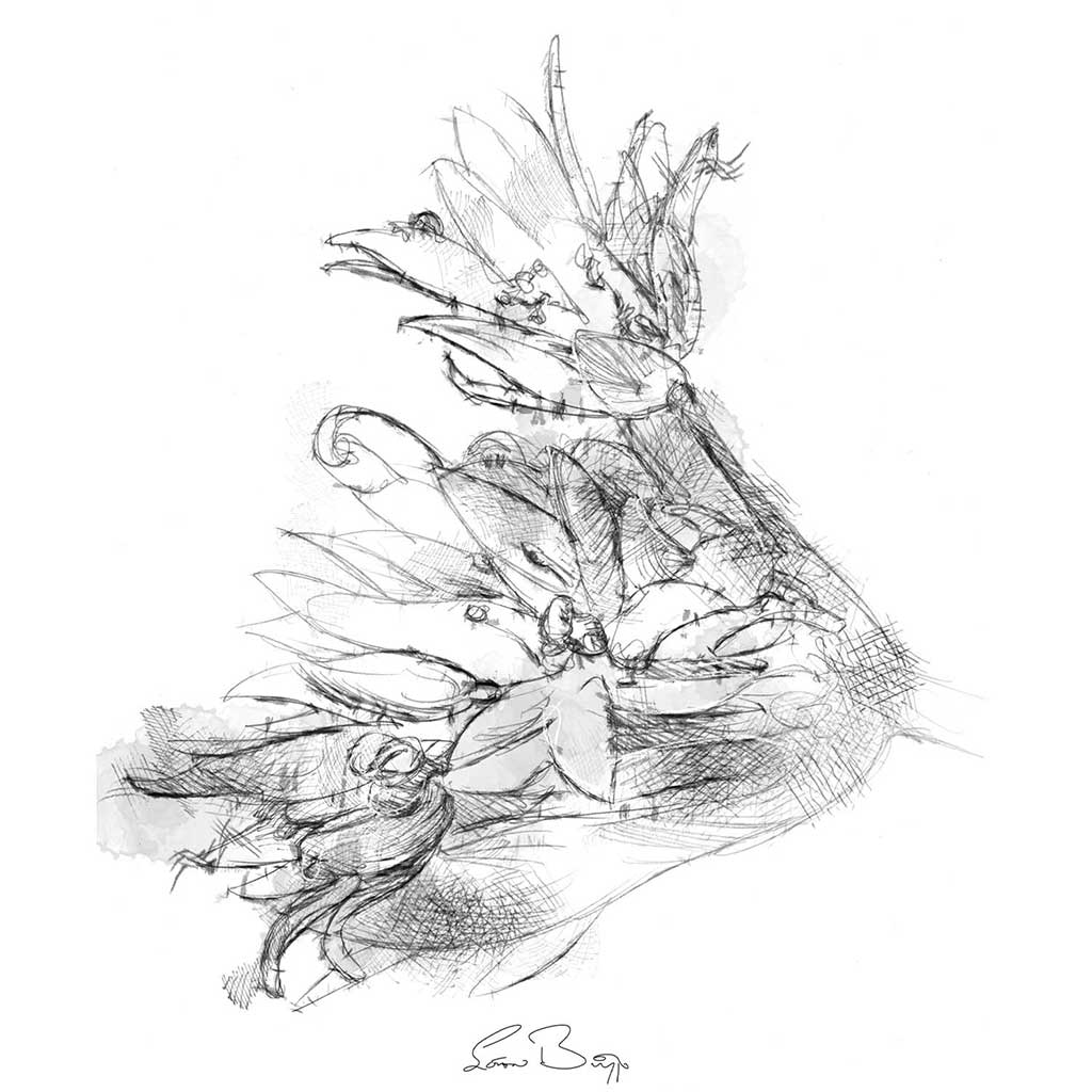 Wild garlic flower