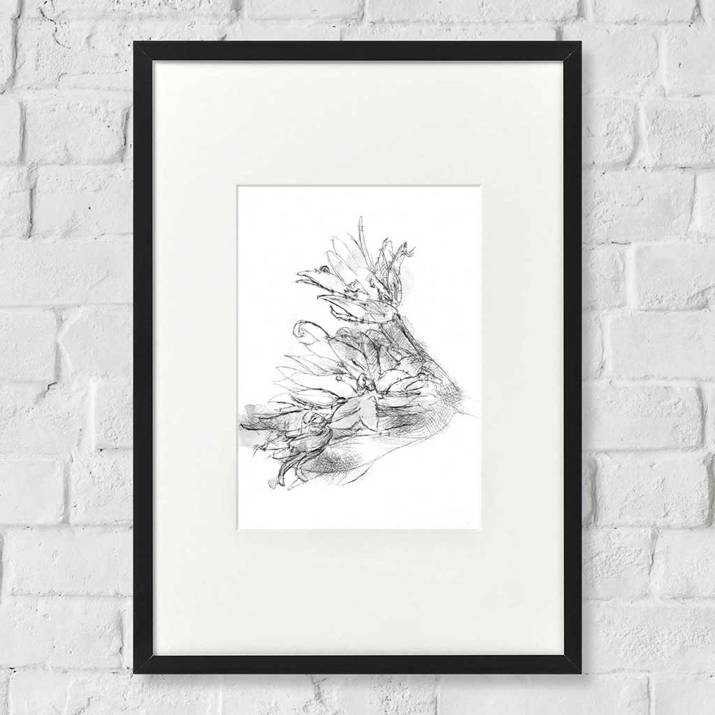 Wild garlic flower