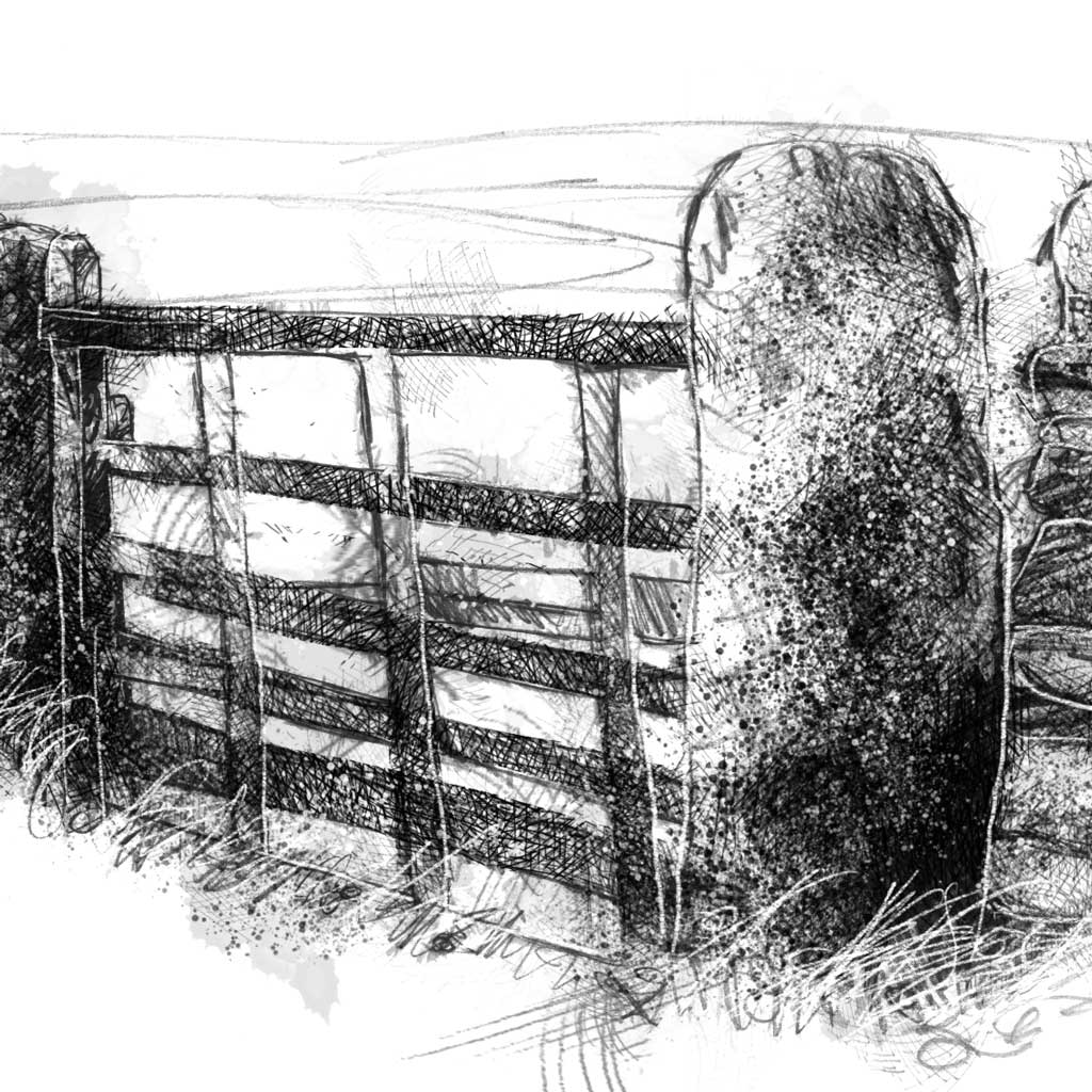 Old field gate - BW Sketch